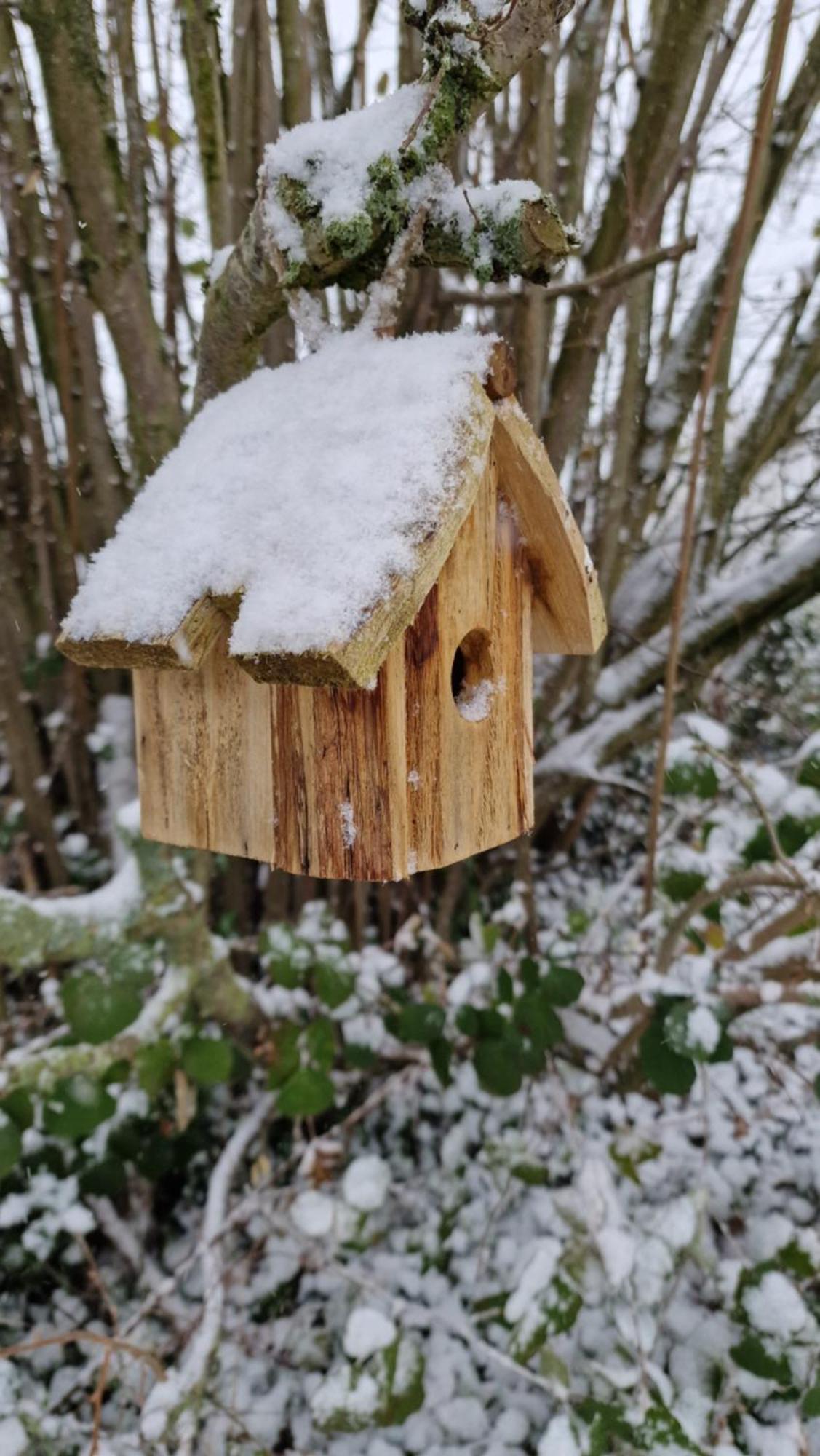 La Bergerie Chambre D'Hotes Leuze-en-Hainaut Esterno foto